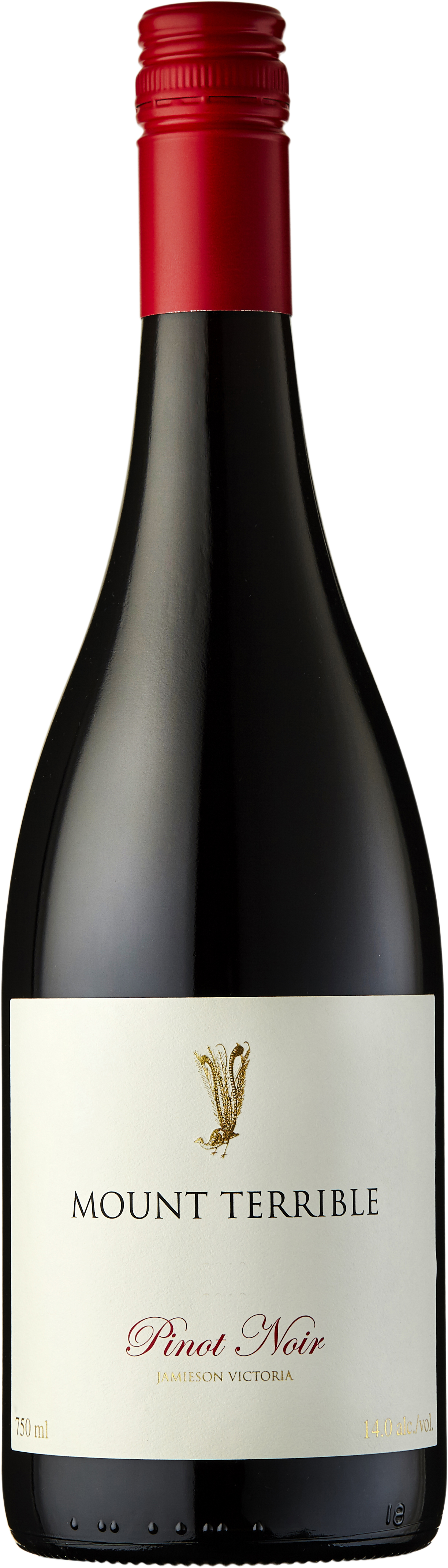 Mount Terrible Jamieson Pinot Noir 2022 Central Victoria Zone